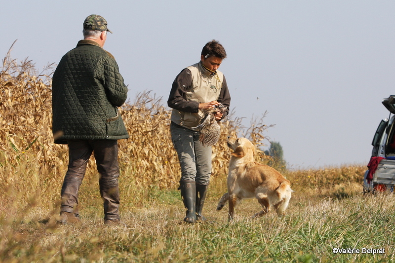 Field Erstein 09 (37).JPG